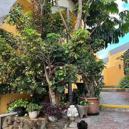 Casa de hóspedes Double At Lila