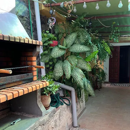 Double At Lila * Puerto de la Cruz (Tenerife)