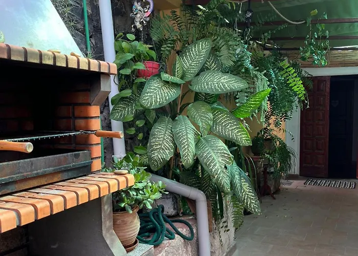 Double At Lila * Puerto de la Cruz (Tenerife)